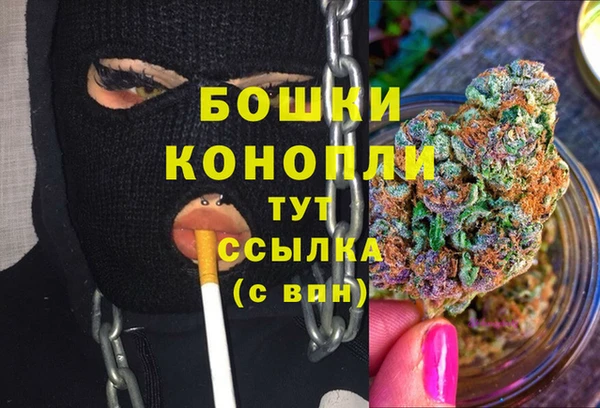 прущие грибы Вязьма